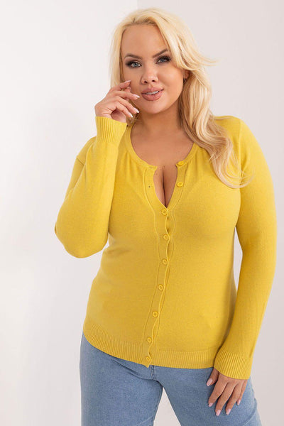 Pullover plus size Model 195385 Factory Price